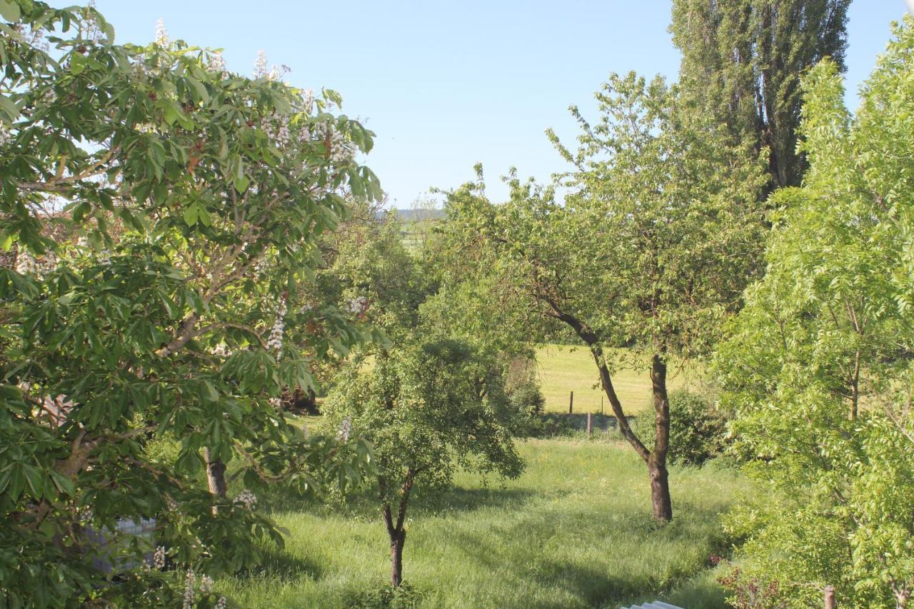 Fewo Am Schlossberg Neusitz  Exteriör bild